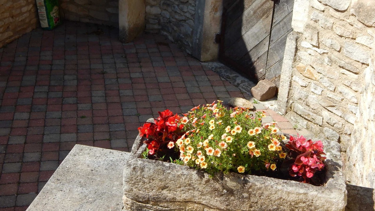 Photo of Others in Chamaret