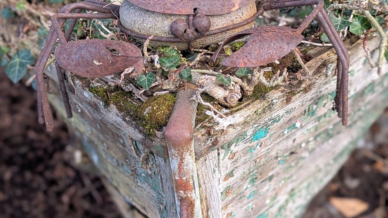 Photo of Others in Oak Harbor