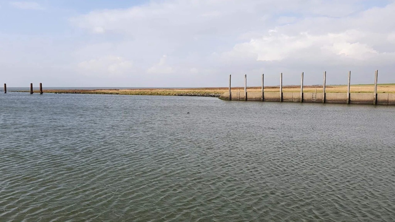 Photo of Others in Hojer