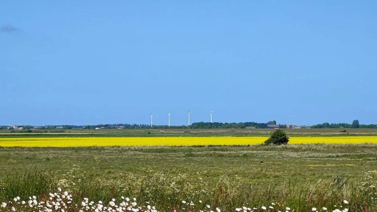 Photo of Others in Hojer