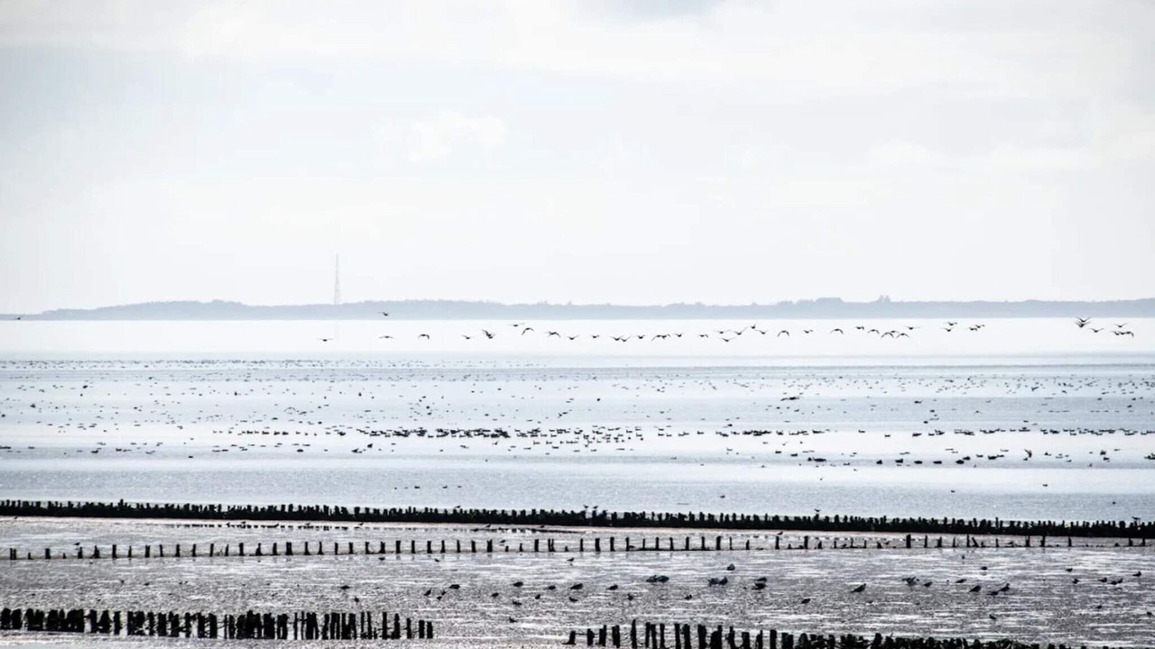 Photo of Others in Hojer