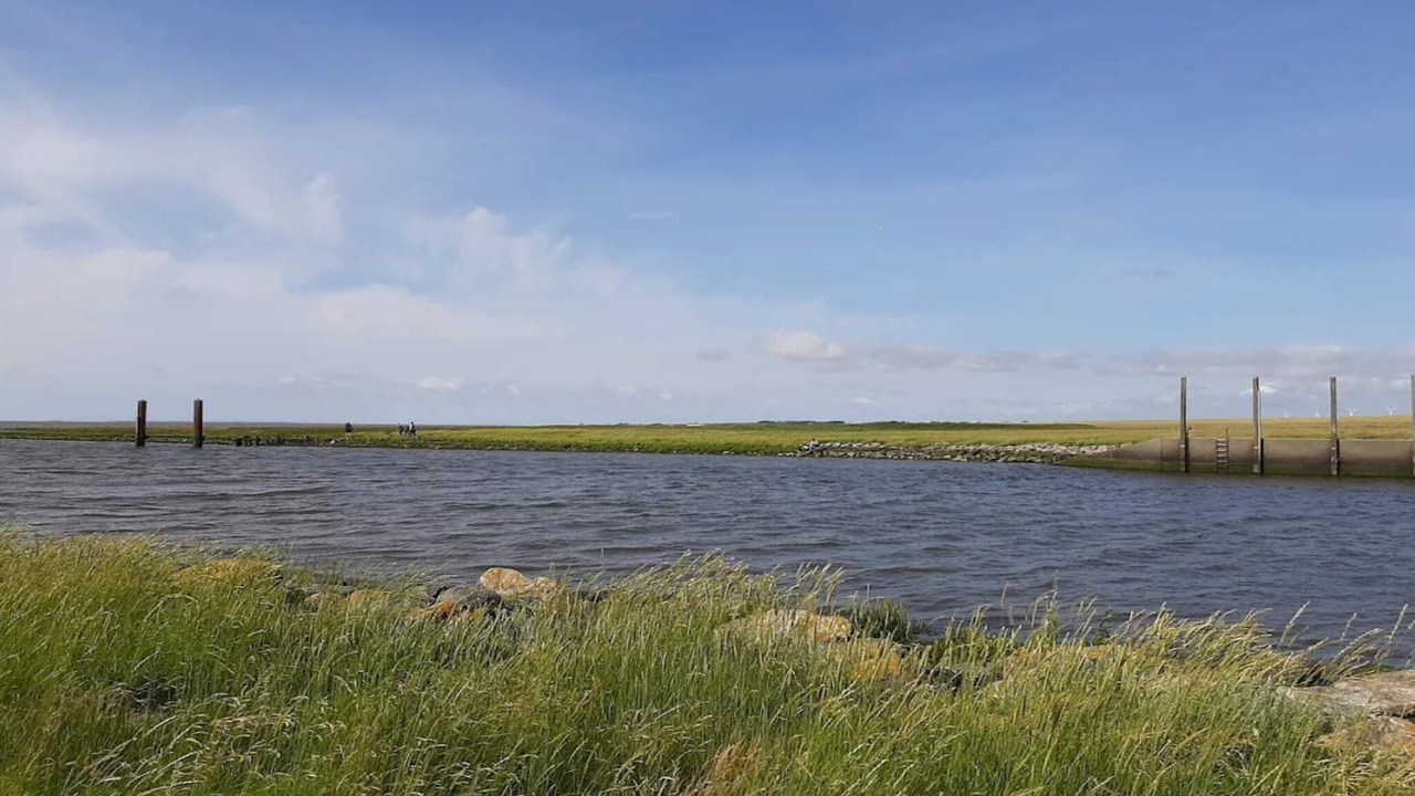 Photo of Others in Hojer