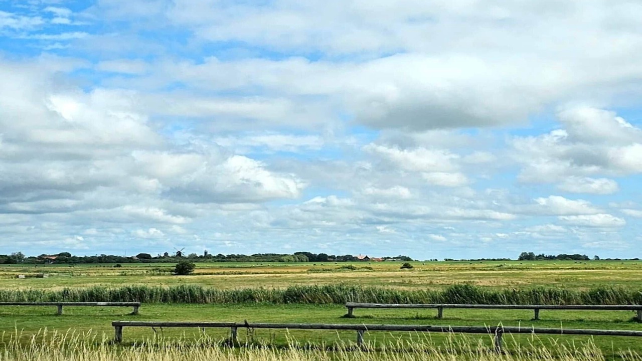Photo of Others in Hojer