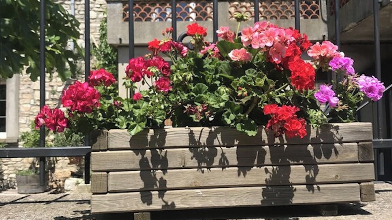 Photo of Outdoor in Orgnac-l'Aven
