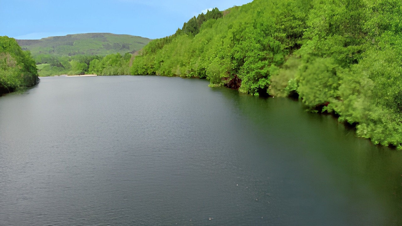 Photo of Outdoor in La Salvetat-sur-Agout