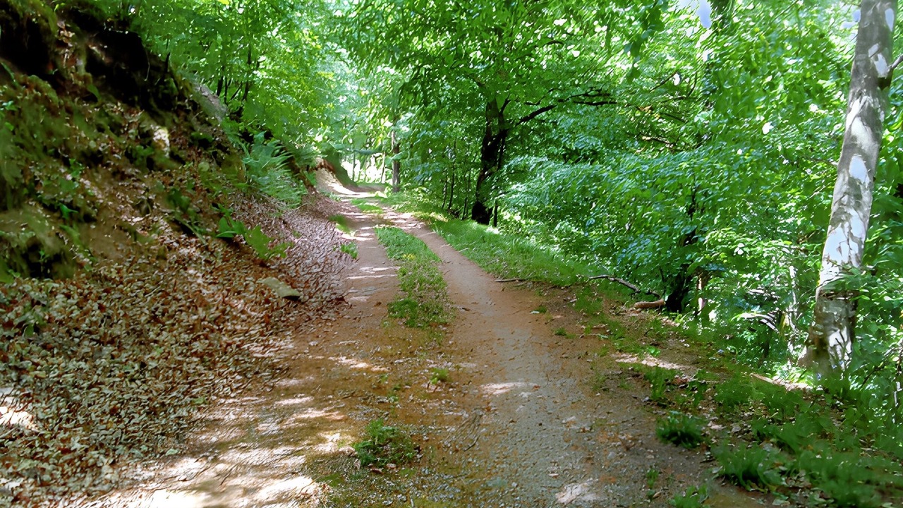 Photo of Others in La Salvetat-sur-Agout