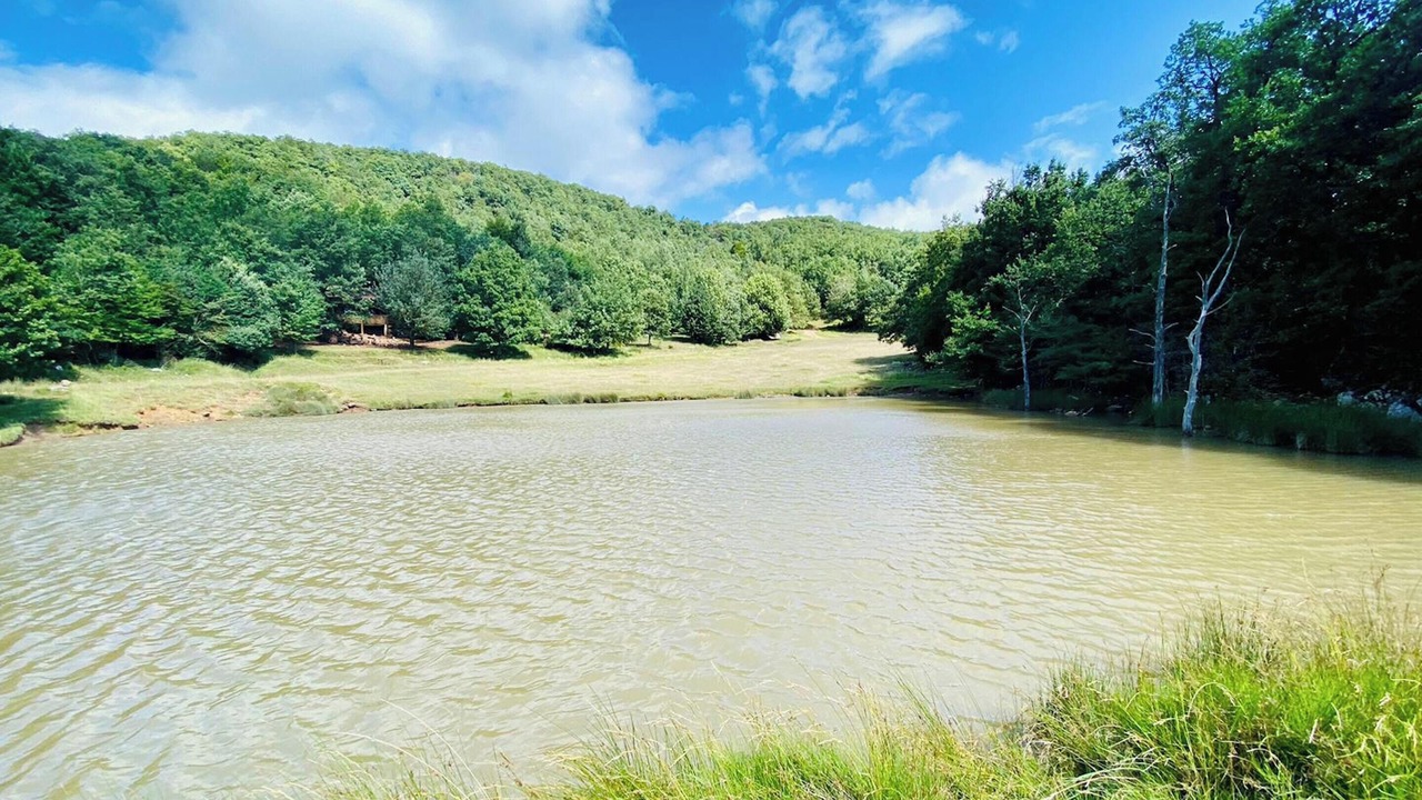 Photo of Outdoor in Camps-sur-l'Agly