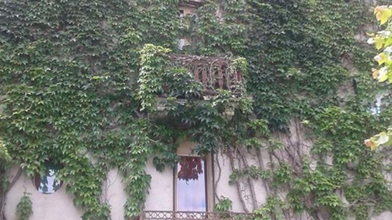Photo of Others in Neris-les-Bains