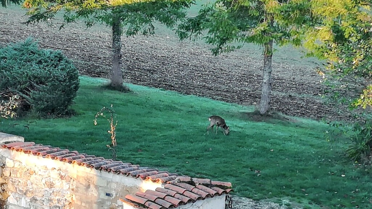Photo of Outdoor in Brantome-en-Perigord