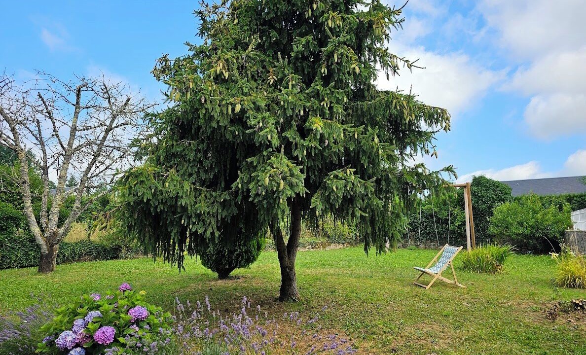 Photo of Outdoor in Chamberet