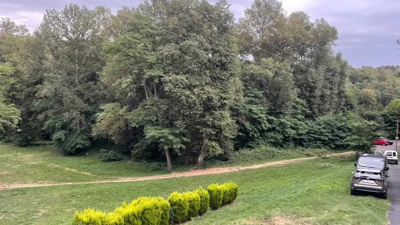 Photo of Outdoor in Vieille-Brioude