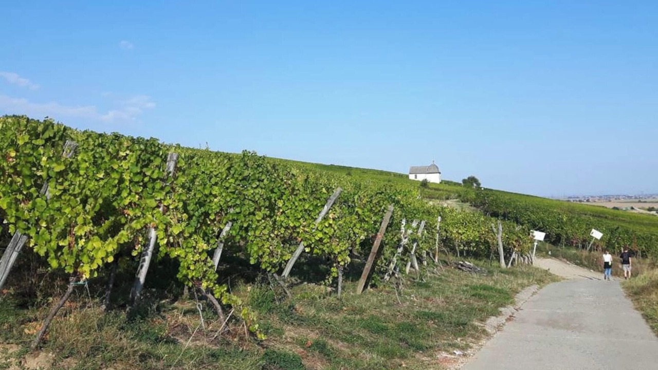 Photo of Others in Wangen