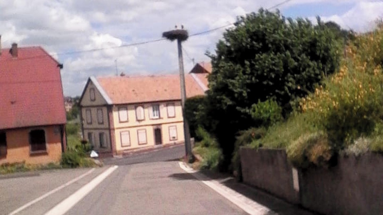 Photo of Others in Wangen