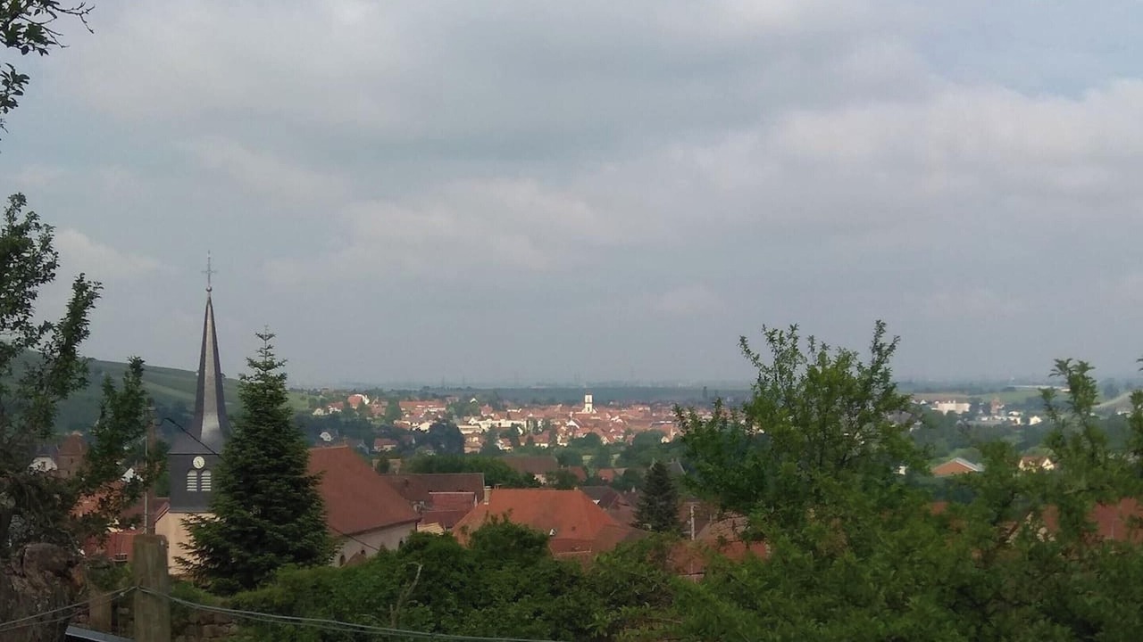 Photo of Others in Wangen