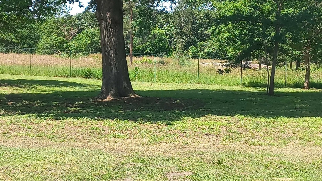 Photo of Outdoor in Mimizan