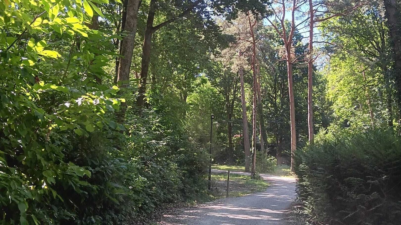 Photo of Others in Saint-Cheron