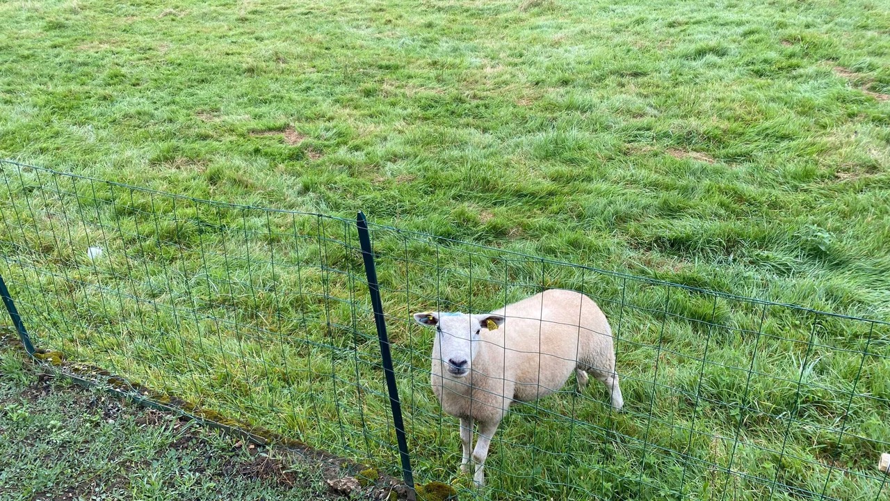 Photo of Others in Chateney