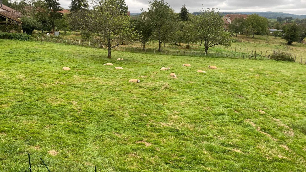 Photo of Others in Chateney