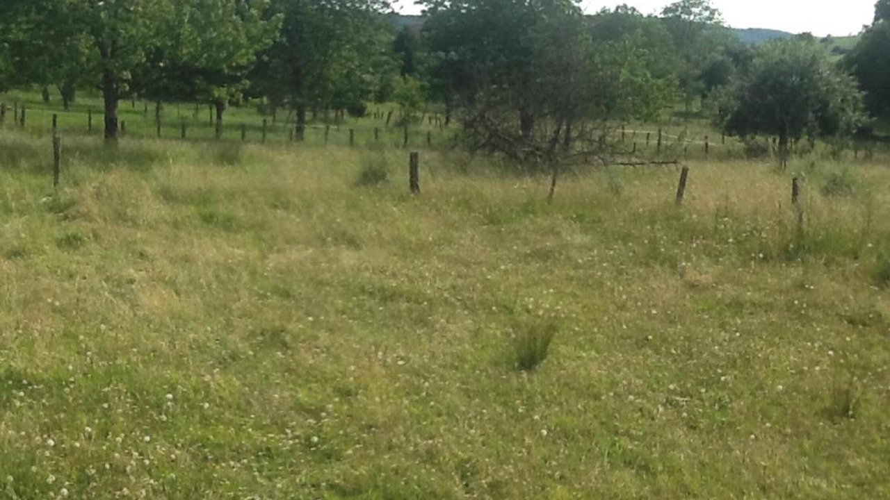 Photo of Outdoor in Chateney