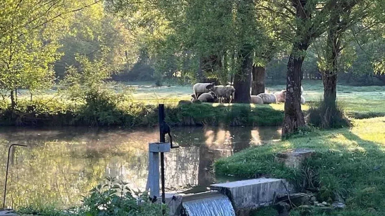 Photo of Others in Beaumont-Village