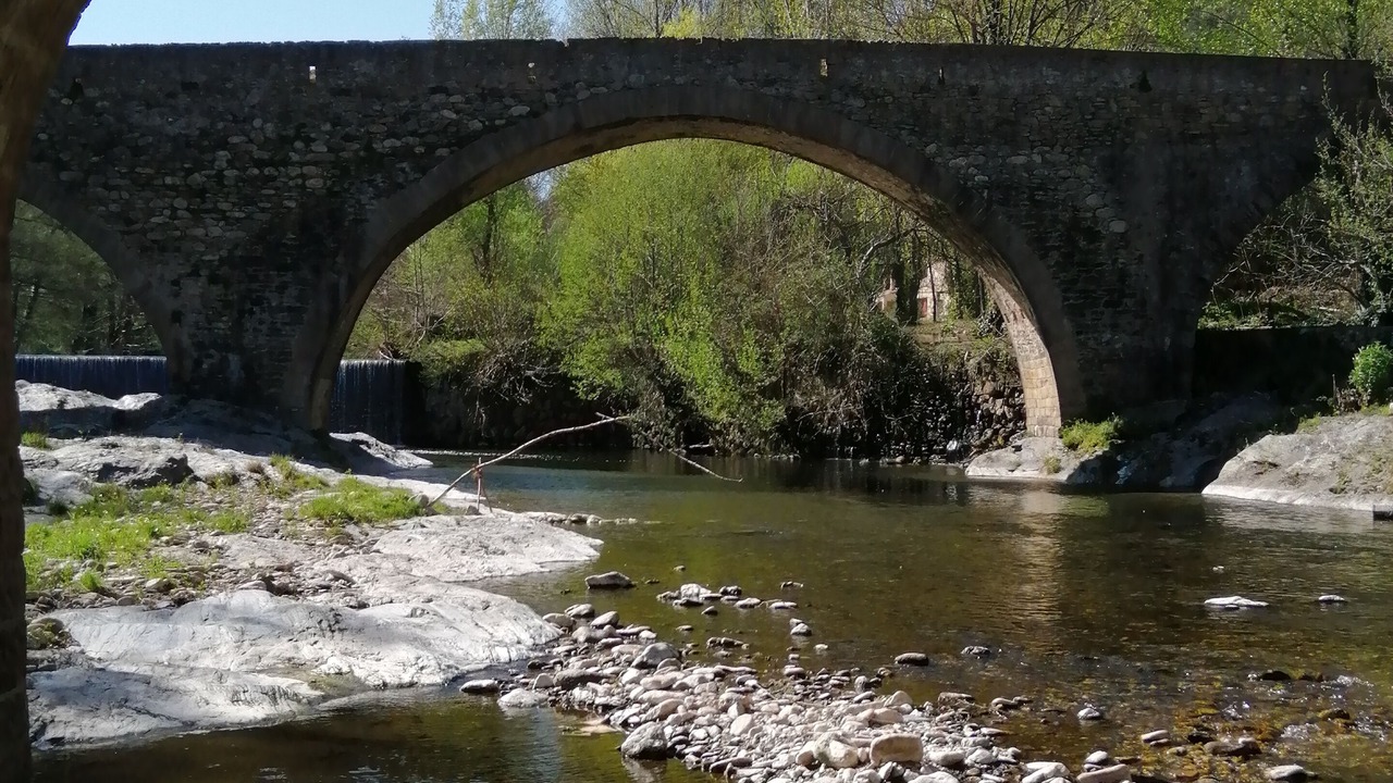 Photo of Others in St Gervais sur Mare