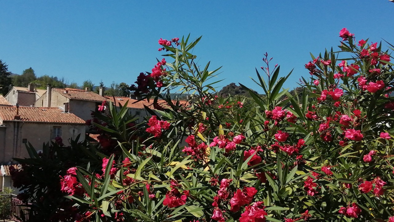 Photo of Outdoor in St Gervais sur Mare