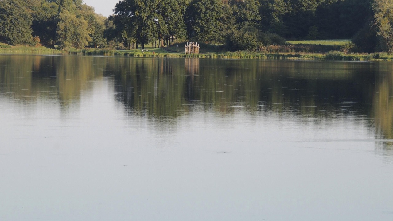 Photo of Others in Channay-sur-Lathan