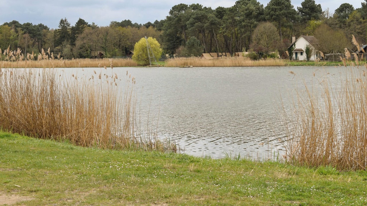 Photo of Others in Channay-sur-Lathan