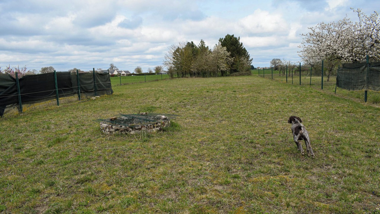 Photo of Outdoor in Channay-sur-Lathan