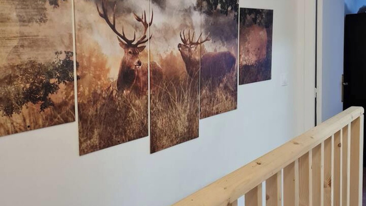 Photo of Others in Deville