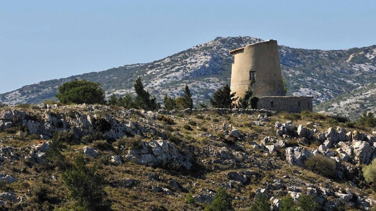 Photo of Others in Sigean
