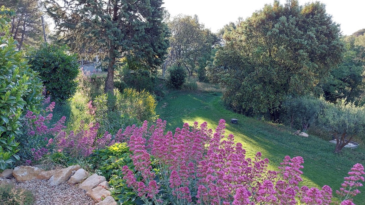 Photo of Outdoor in Saint-Nazaire