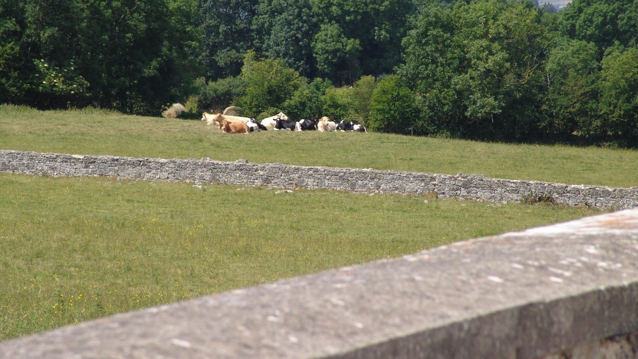 Photo of Outdoor in Montmartin-sur-Mer