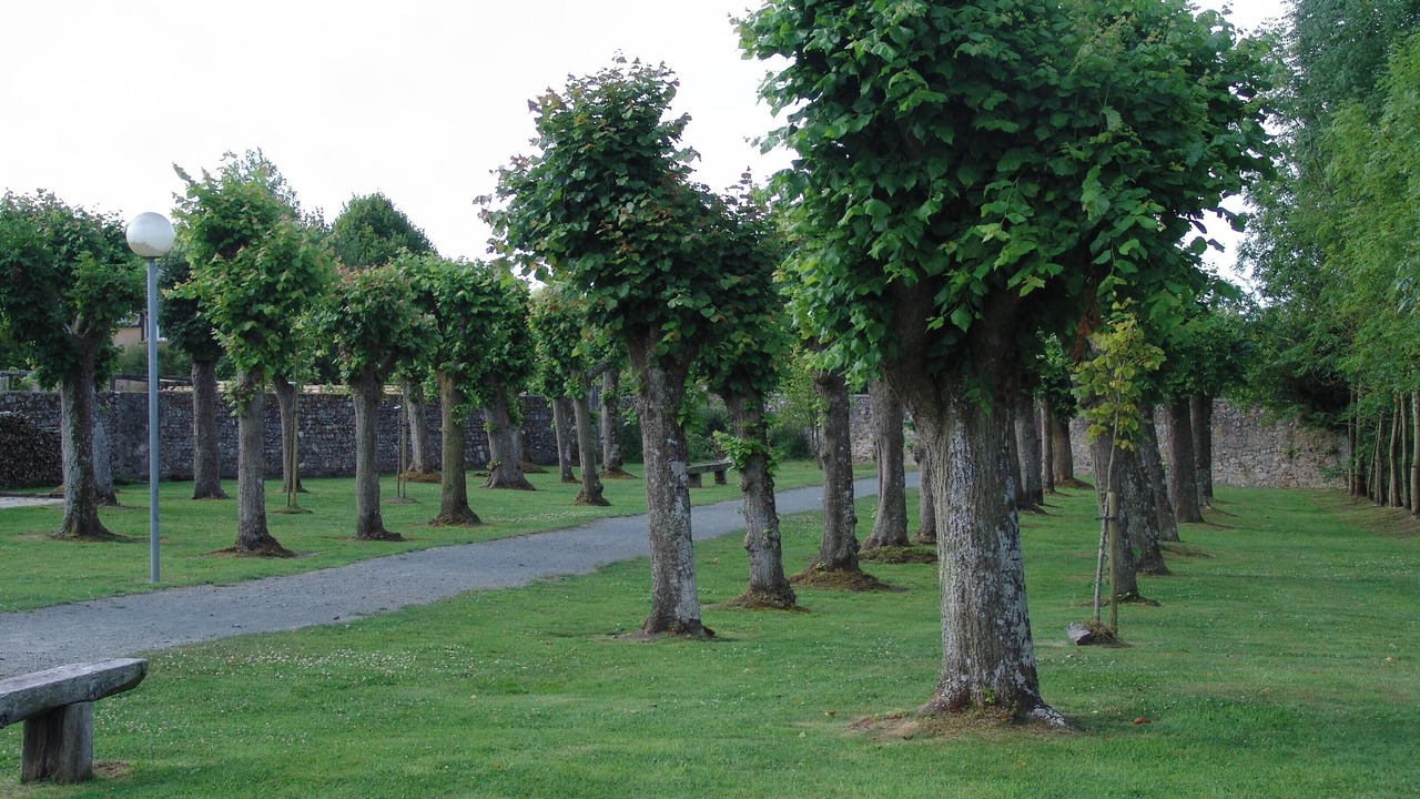 Photo of Others in Montmartin-sur-Mer