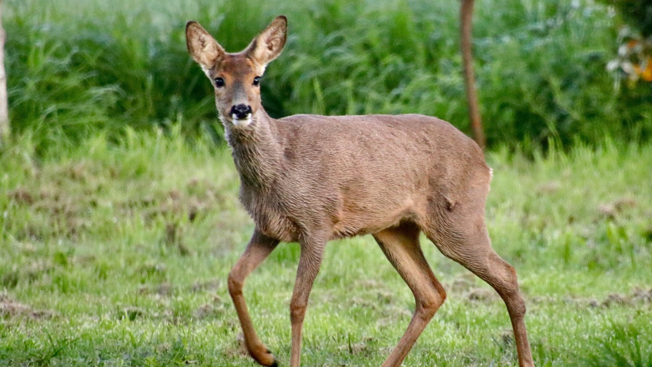 Photo of Others in Cumont