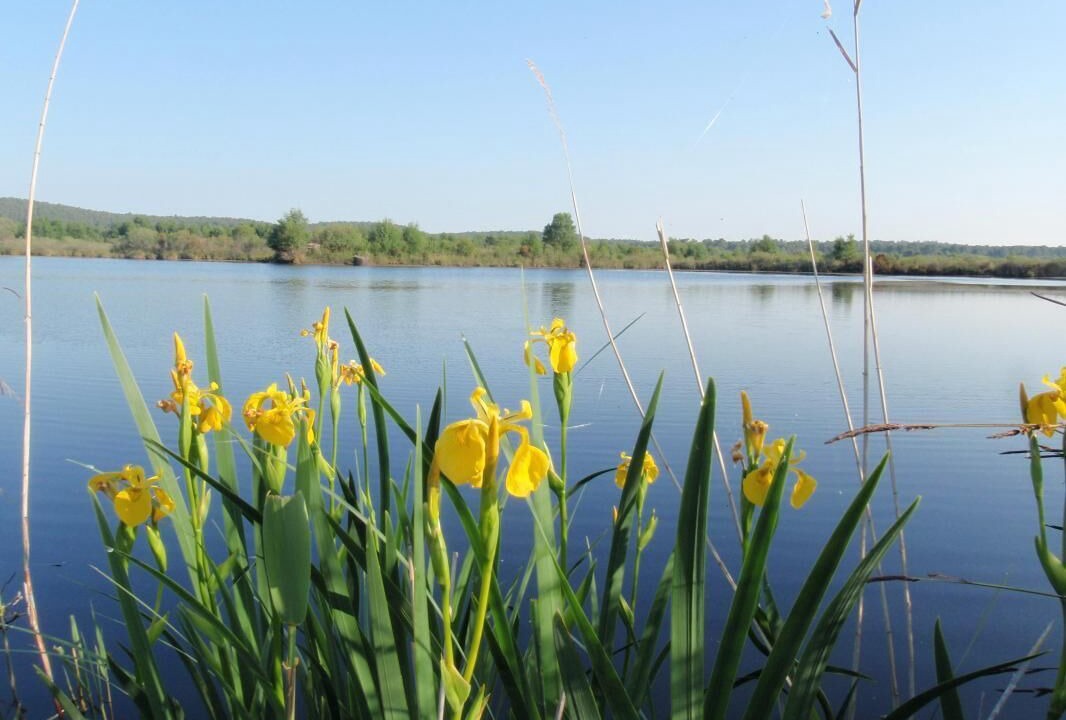 Photo of Others in Ordonnac