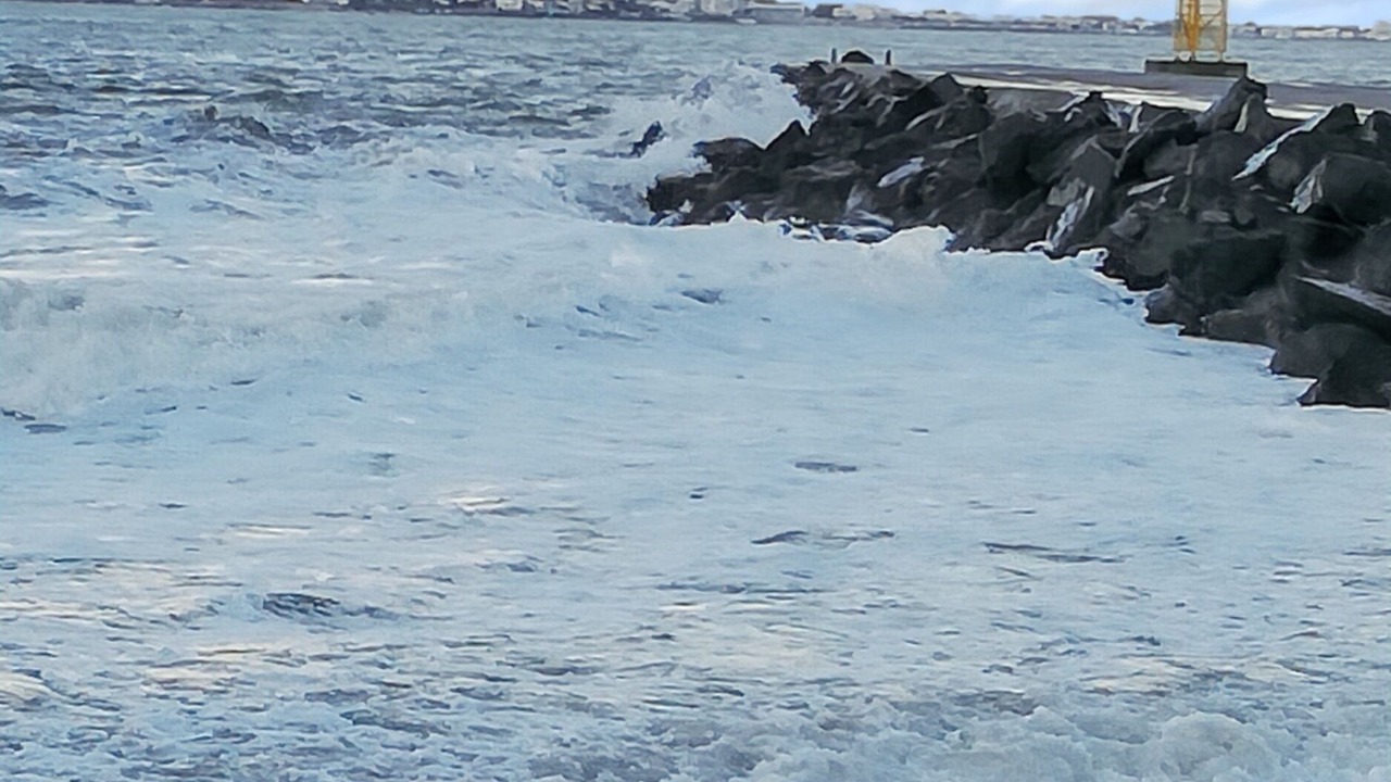 Photo of Others in Le Verdon-sur-Mer