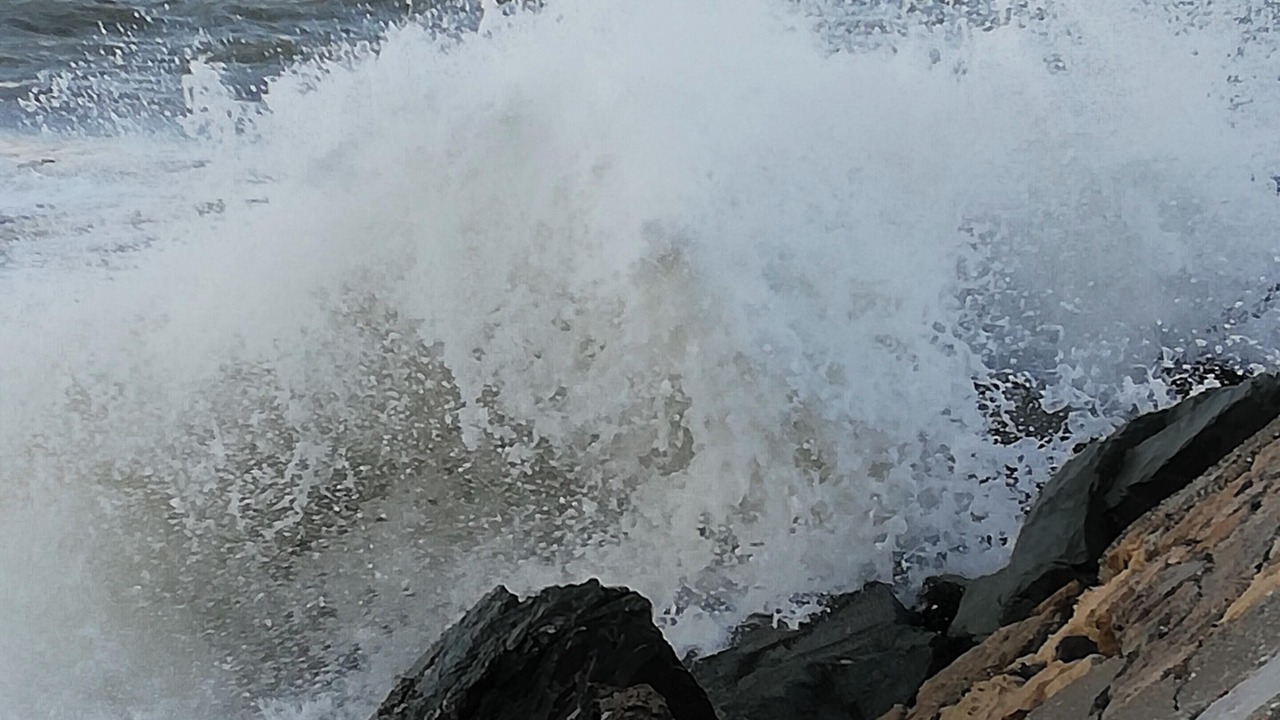 Photo of Others in Le Verdon-sur-Mer