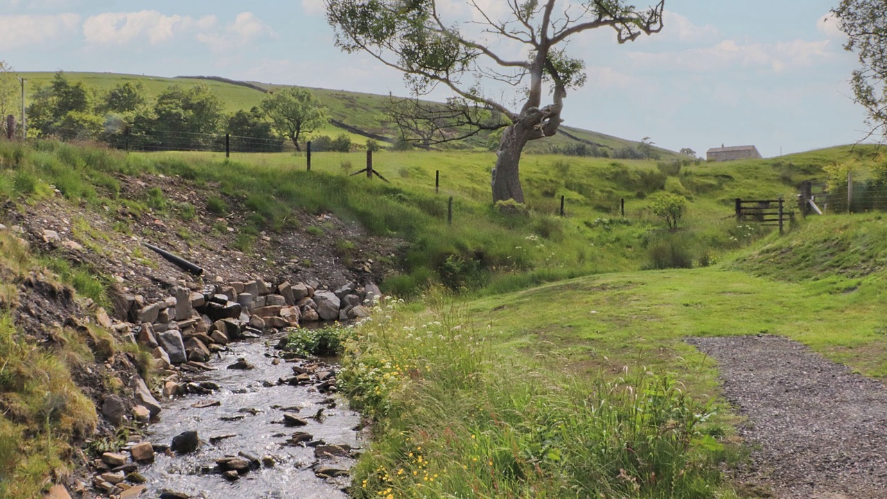 Photo of Others in Fence