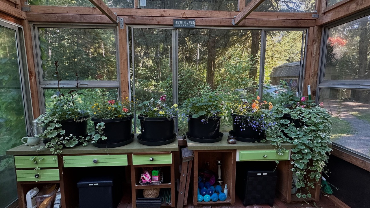 Photo of Others in Ariel