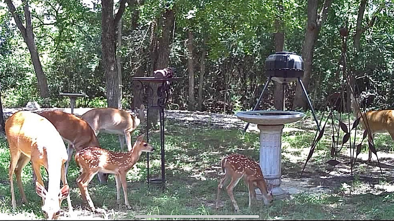 Photo of Outdoor in Iola