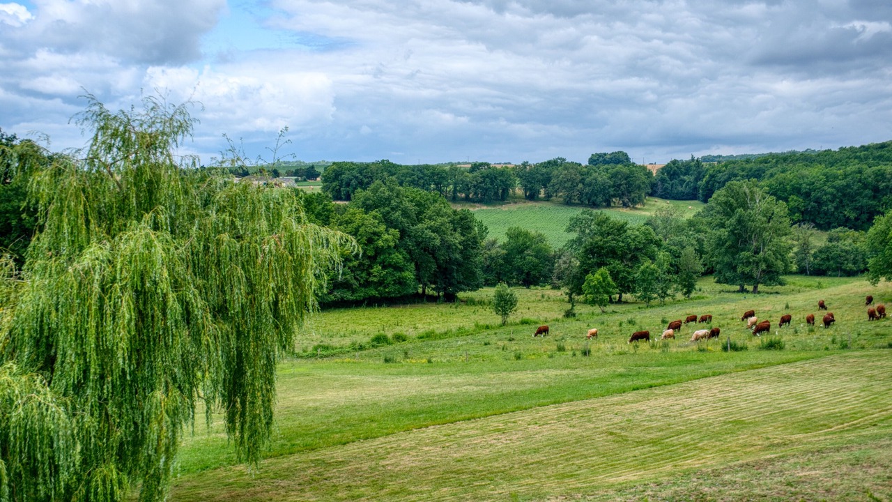 Photo of Others in Razac-d'Eymet