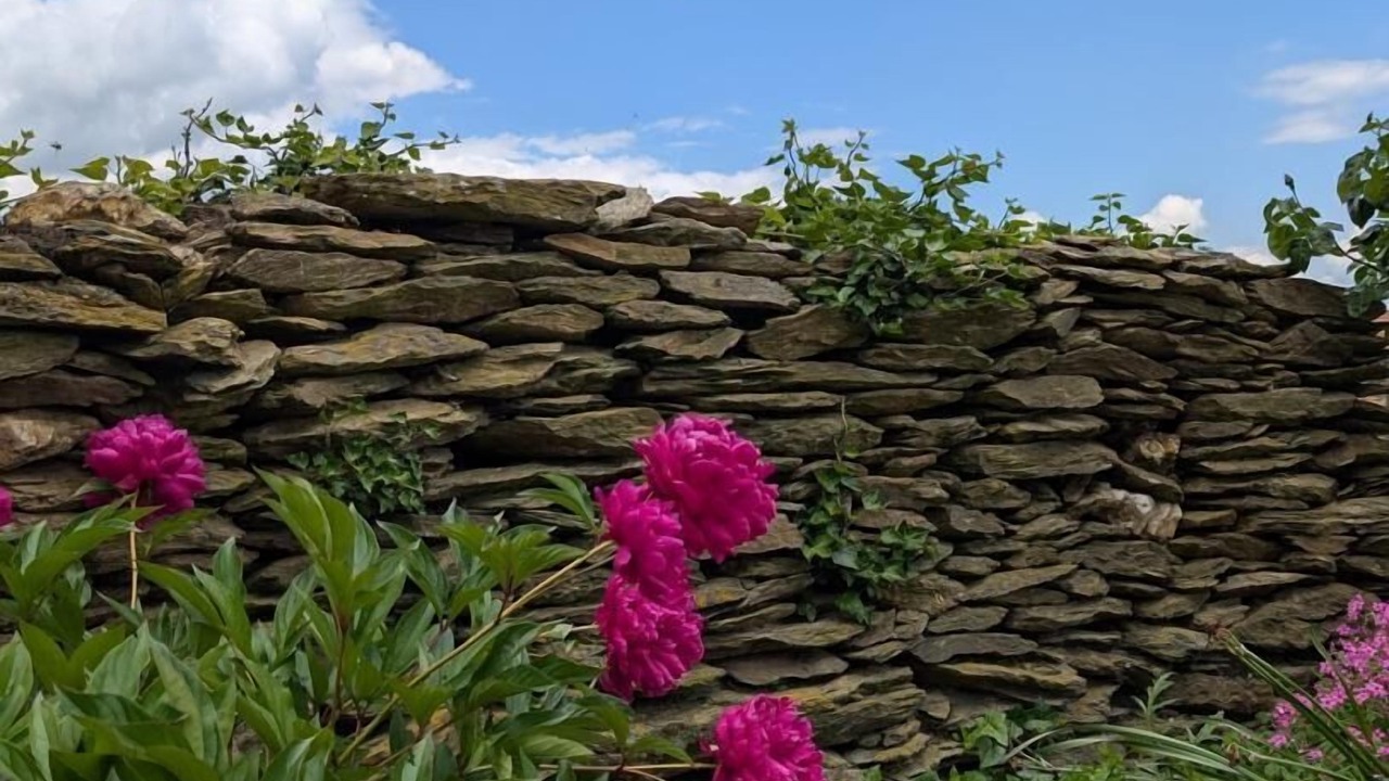 Photo of Outdoor in Longes