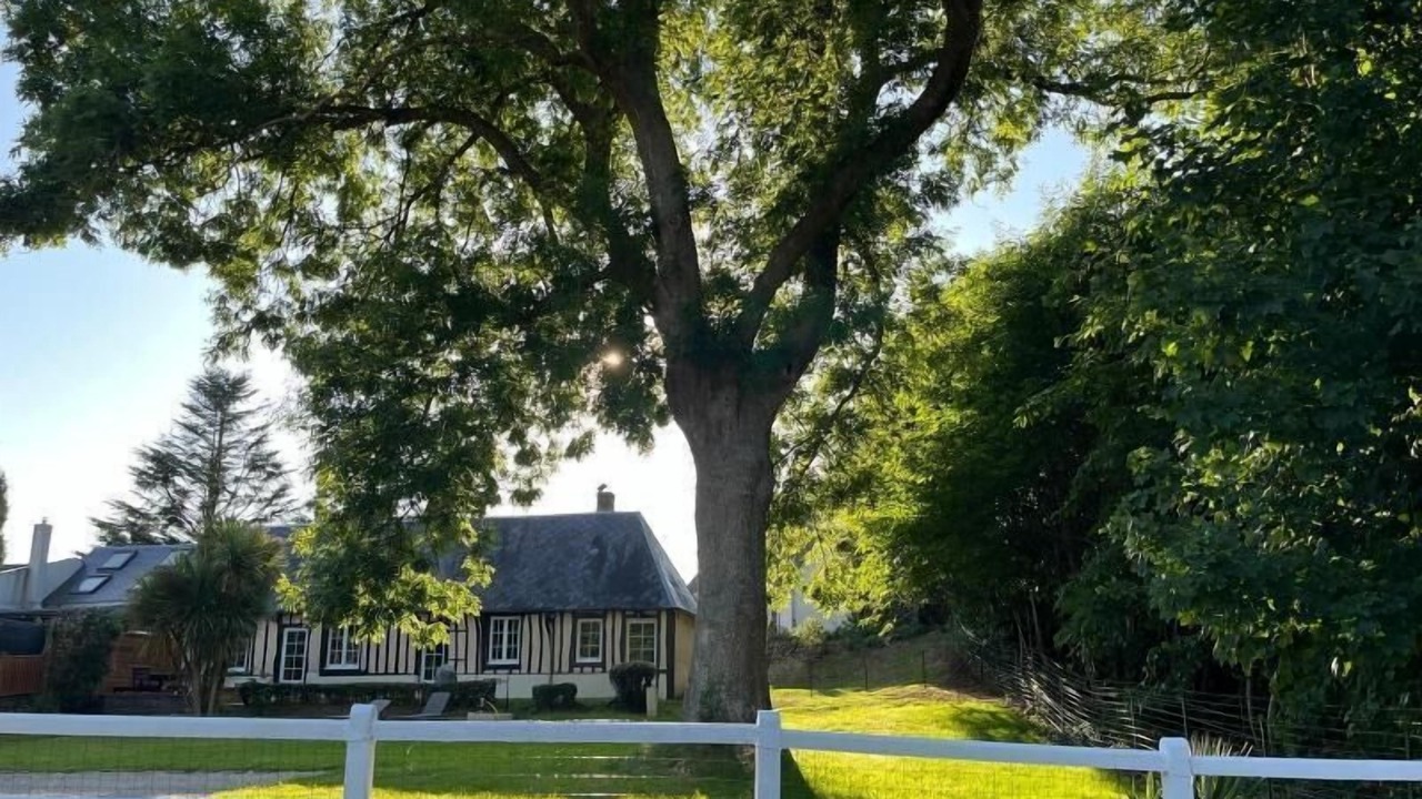 Photo of Outdoor in Saint-Gabriel-Cap-de-Caux