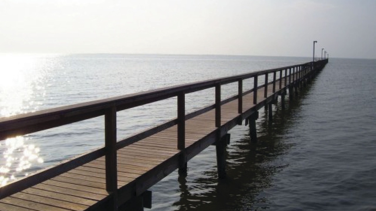 Photo of Others in Galveston