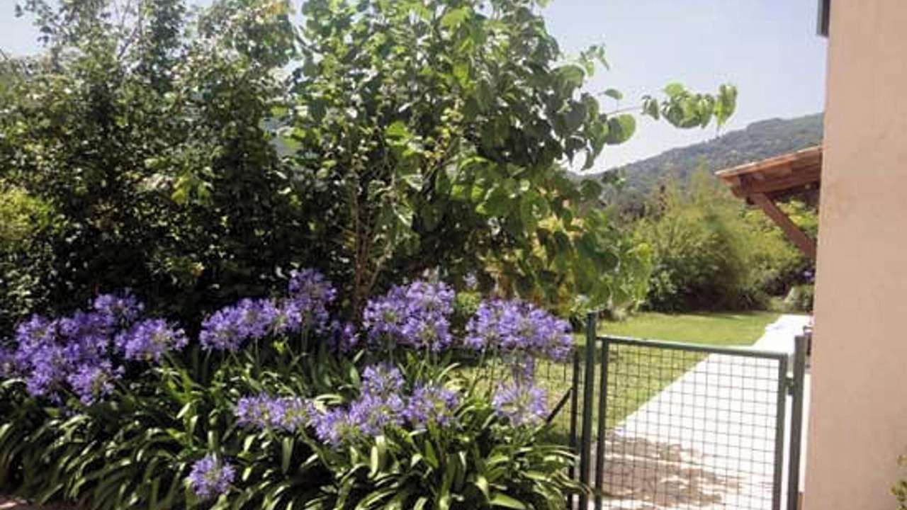Photo of Outdoor in Le Bar-sur-Loup