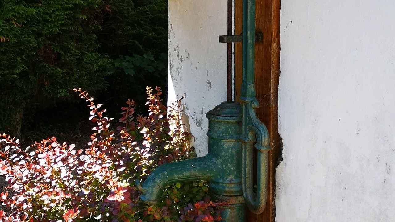 Photo of Others in Neufchatel-Hardelot