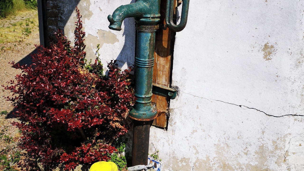 Photo of Others in Neufchatel-Hardelot