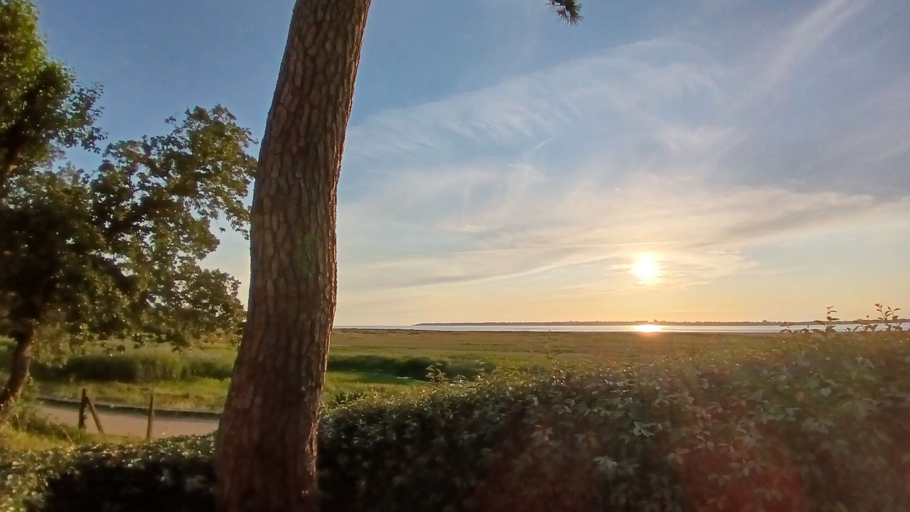 Photo of Others in Saint-Brevin-l'Ocean