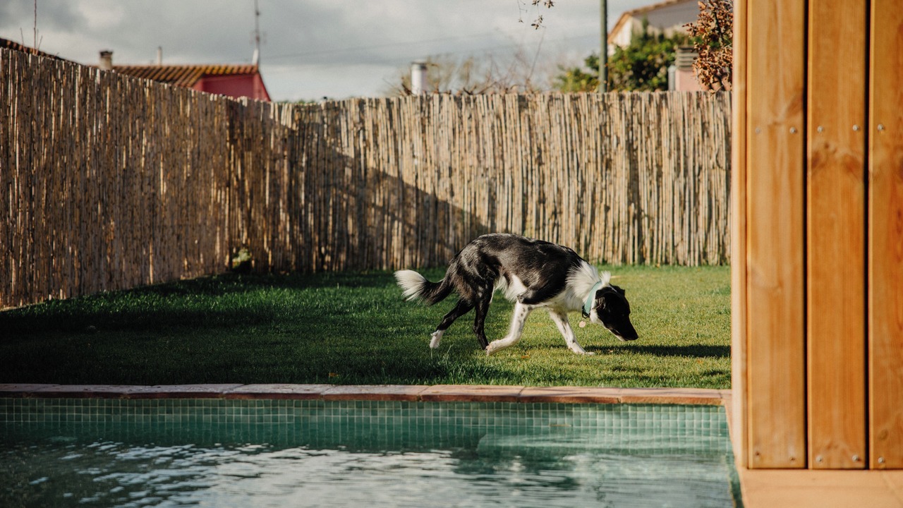 Photo of Outdoor in Sant Miquel de Fluvia